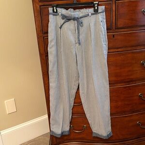 Casual Blue Striped Ladies Pants
